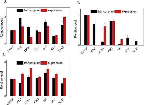 Effects of co-expressing folding factors on transcription and expression of different reporter proteins. (A) The relative level of the egfp transcript and specific yEFGP fluorescence. (B) The relative level of lacZ transcript and specific Gal activity. (C) The relative level of SECA transcript and s