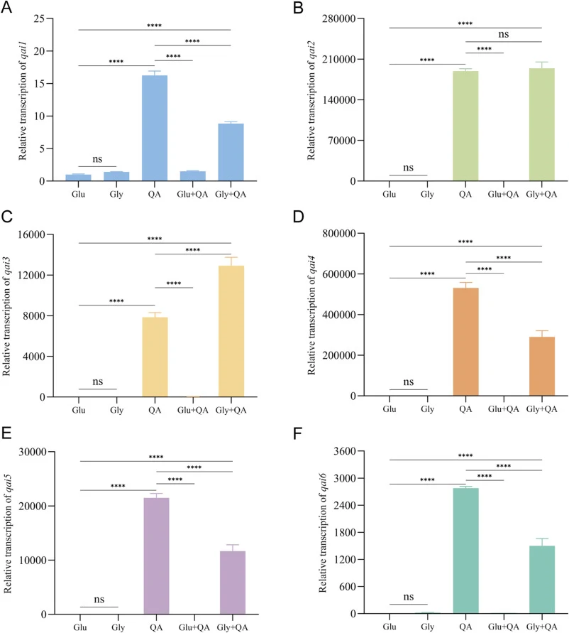 Glucose inhibits QA-induced expression of the qai gene cluster, while glycerol exerts no such inhibitory effect. Transcriptional analysis of the qai gene cluster (qai1-6) was performed using QM9414 strain under different carbon source conditions. The gene expression level under glucose condition was