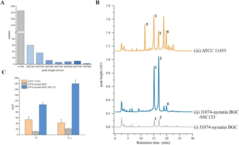 Space flight mutation for breeding high-yield nystatin A1-producing strains. A) Determination of nystatin components in 300 monospores from space-induced recombinant strains; B) Comparison of Space-borne high-yielding strains SSC-133 with the original strain J1074-nystatin BGC and ATCC11455. (i) S.a
