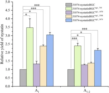 Investigating the role of TCS genes in nystatin production. The figure compares the relative yield (fold change) of nystatin A1 and A1–2 from four TCS gene mutant strains of J1074-nystatinBGC with that of the wild-type control strain (J1074-nystatinBGC, grey bar). Data are presented as the mean ± st
