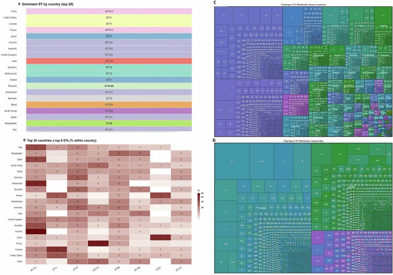 Geographic and host distribution of sequence types (STs) in the study. (A) Dominant ST by country (top 20). Each of the top 20 countries (ranked by total ST count) is labeled with its name, and the colour indicates the most prevalent sequence type within that country. This panel provides a national