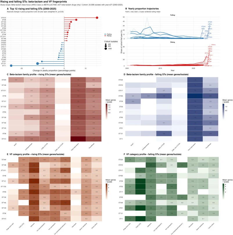 Rising and declining Escherichia coli sequence types and their associated β-lactam resistance and virulence profiles (2000–2025). Temporal changes in the prevalence of major Escherichia coli sequence types (STs) between 2000 and 2025 and their associated β-lactam resistance and virulence-factor prof