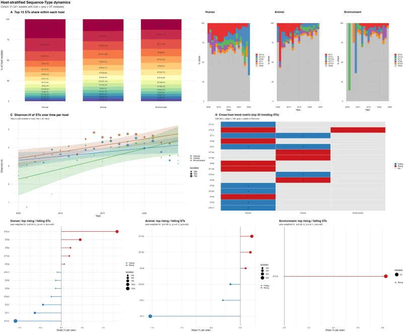 Host-stratified temporal dynamics and diversity of major Escherichia coli sequence types. Host-specific population structure of Escherichia coli across human, animal, and environmental reservoirs. The figure summarizes dominant sequence types, temporal changes in lineage composition, diversity trend