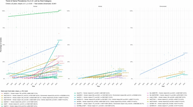 Trend of gene β-lactam gene prevalence (%) in Escherichia coli by host category. This figure shows the temporal trends in the prevalence of antimicrobial resistance (AMR) genes in Escherichia coli isolates from three host categories: Human, Animal, and Environment. The data spans multiple years, wit