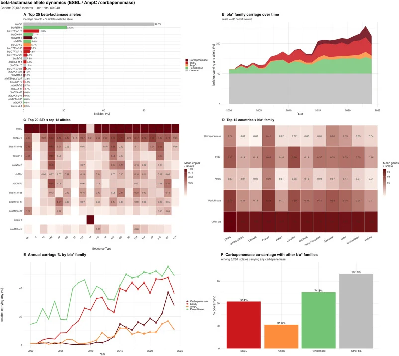 Global dynamics of β-lactamase alleles and resistance gene families in Escherichia coli (2000–2025). Distribution, temporal dynamics, and co-occurrence patterns of major β-lactamase determinants among MLST-typed Escherichia coli genomes collected between 2000 and 2025. The figure summarizes the most