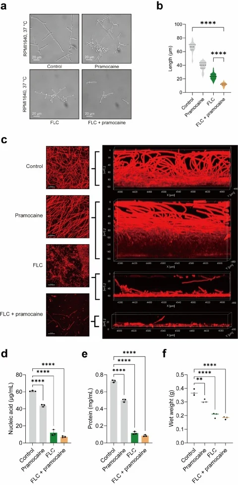 Pramocaine hydrochloride potentiates fluconazole against Can