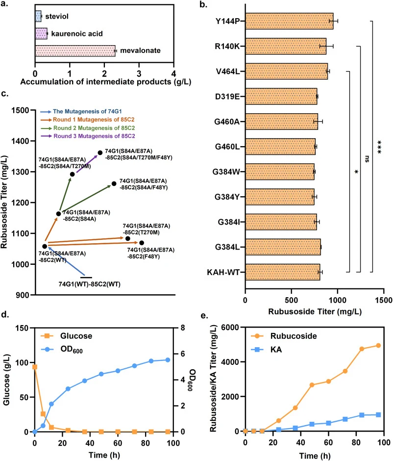 (a) Key intermediates accumulation of steviol, kaurenoic acid and mevalonate in strain RUB036. (b) Rubusoside production of KAH mutant strains. (c) Rubusoside production of UGT74G1 and UGT85C2 mutant strains. (d) Cell growth (blue line) and glucose consumption (orange line) of strain RUB074 in fed-b