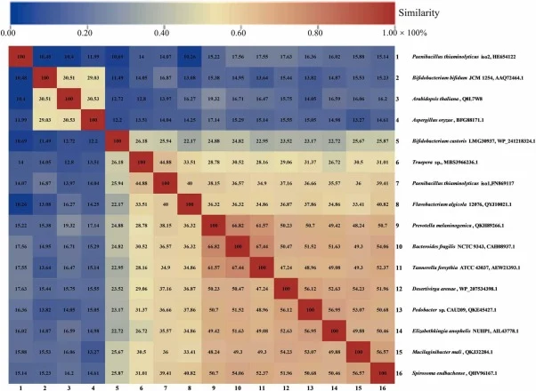 Pairwise amino acid sequence similarity heatmap of 16 selected α-L-fucosidases. The color gradient from blue to red corresponds to sequence similarity from 0% to 100%, with numerical values showing exact similarity scores. The source (genus, species, and protein ID) of each enzyme is annotated on th