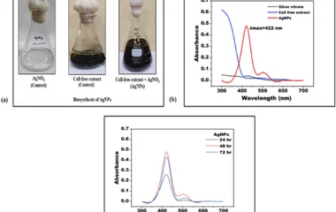 嗜热链球菌 Streptomyces nigra