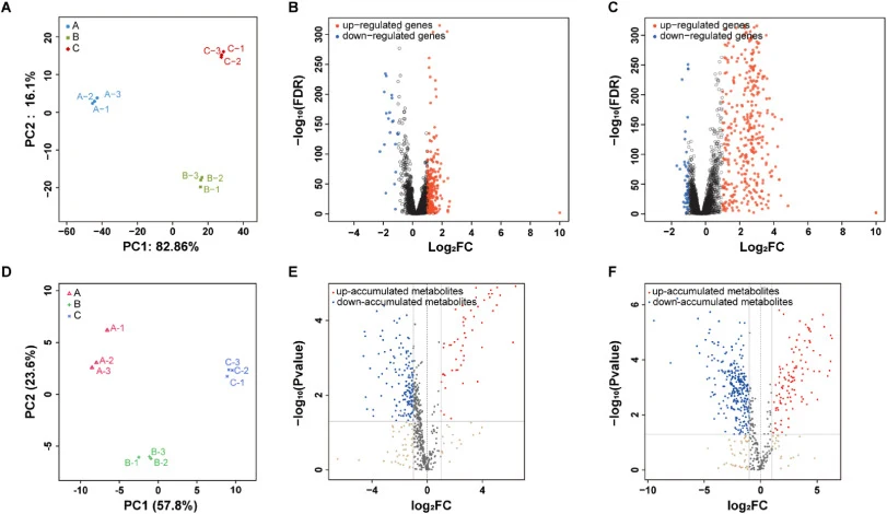 Global transcriptomic and metabolomic profiling of E. coli in response to vanillin stress. (A) PCA score plot of transcriptomic profiles from the control group and vanillin-treated groups (0.5 g/L and 1.0 g/L). (B, C) Volcano plots of DEGs induced by 0.5 g/L (B) and 1.0 g/L (C) vanillin. Red and blu