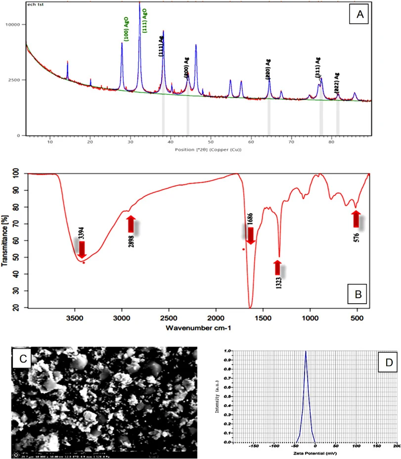 A:XRD图谱,B:FTIR,C:SEM,D:Ag/AgO纳米颗粒的Zeta电位分析。
