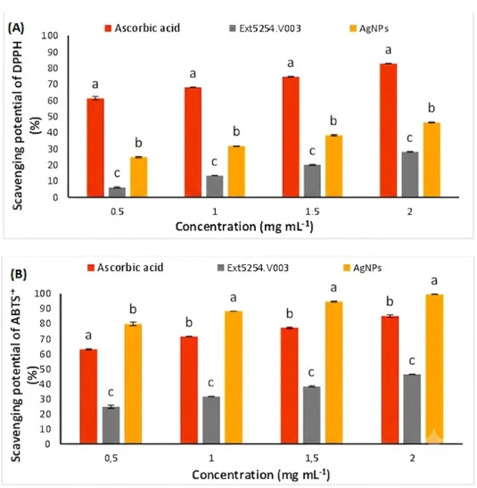 Antioxidant activity of Ext5254. V003 and Ag/AgO NPs. (A): DPPH radical scavenging assay; (B): ABTS radical scavenging assay. The values represent the means of three replicates with standard deviation (±SD). Means with different letters in the same bar were significantly different at p < 0.05 accord
