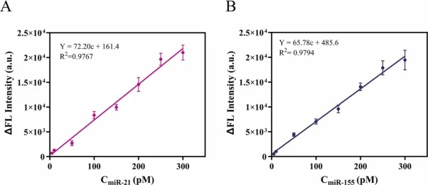 Calibration curves for dual miRNA detection using the proposed PER-based AND logic-gated aCRISPR system. (A) Fluorescence intensity as a function of miR‑21 concentration. (B) Fluorescence intensity as a function of miR‑155 concentration. Data are presented as mean ± SD (n = 3).