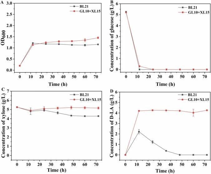 Analysis of the fermentation performance of bacterial consortium (GL10 and XL15) in mixed sugar medium containing 5 g/L glucose and 5 g/L xylose. (A) growth, (B) glucose consumption, (C) sugar consumption, and (D) D-LA titer. Each point represents the mean of three replicates and the error bars indi