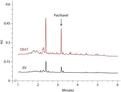 Representative UPLC chromatograms from EV and DBAT-overexpressing cell lines. The chromatogram for the cell line overexpressing DBAT is denoted in red, while the chromatogram for the empty vector control is denoted in black. Paclitaxel peak (retention time approximately 3.2 min) is identified with a