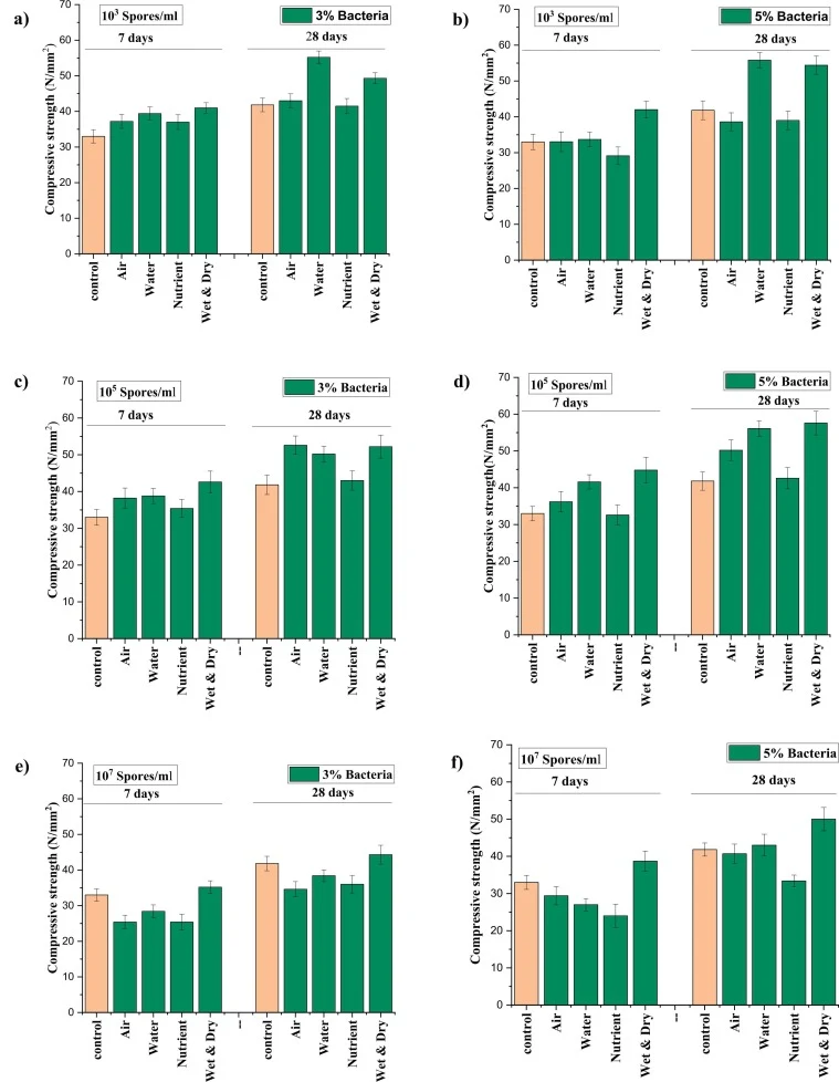 Compressive strength variations of geopolymer mortar at spores, dosage and curing types at 7 and 28 days.