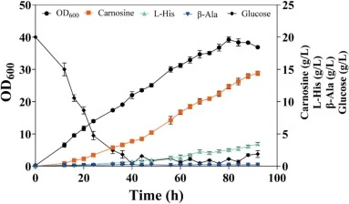 Fed-batch fermentation for carnosine production in E. coli WYT17/pWT-Y3DG. The cell growth, glucose consumption, carnosine production, l-histidine and β-alanine levels in a 5-L fermenter at different time points were determined. Three independent parallel experiments were performed, and the error ba