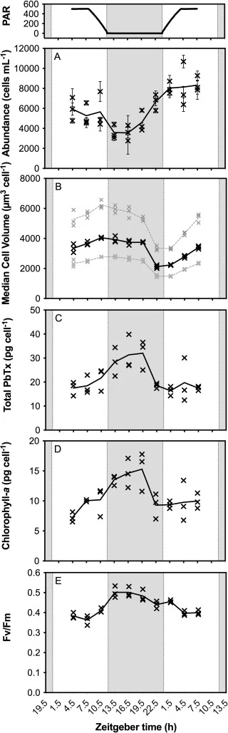 Growth and cell physiology during the diel experiment. Scalar PAR (photosynthetically active radiation) is shown in the top panel with units of µmol photons m–2 s–1. In all subsequent panels (A-E) each of the three independent replicate flasks per time point are plotted separately and the connecting
