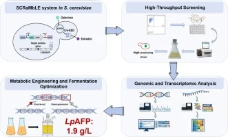 Systematic engineering of Saccharomyces cerevisiae for effic