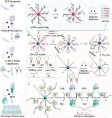 A triple-signal-amplified colorimetric biosensor based on 3D