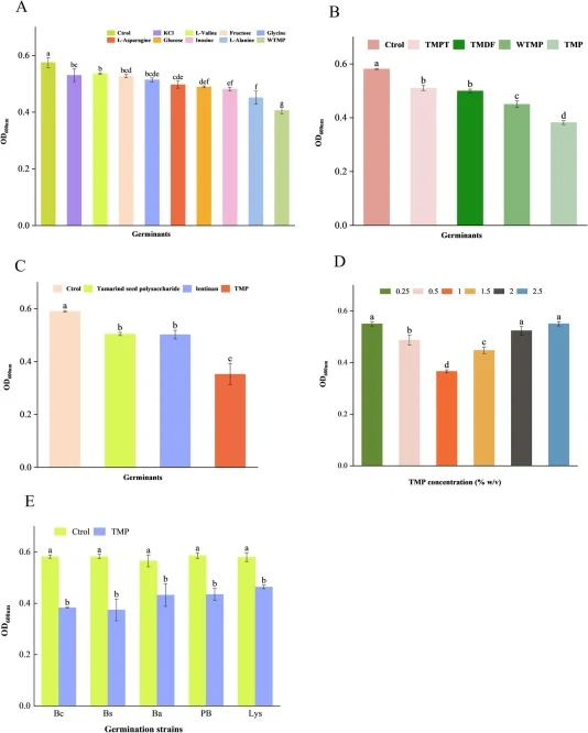 Comparative evaluation of TMP-mediated spore germination and cross-isolate responsiveness. (A) Germination efficiency induced by classical nutrient-type germinants (KCl, L-valine, glycine, L-asparagine, inosine, and L-alanine), representative monosaccharides (glucose and fructose), and whole T. mats