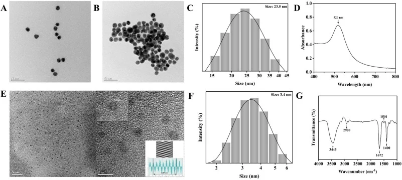TEM images of (A) AuNPs and (B) AuNPs+NaNO3 (225 mmol/L); (C) DLS image and (D) UV–Vis absorption spectrum of AuNPs; (E) TEM and HRTEM (insert) images of GCDs; (F) DLS image of CDs; (G) FT-IR spectrum of CDs.