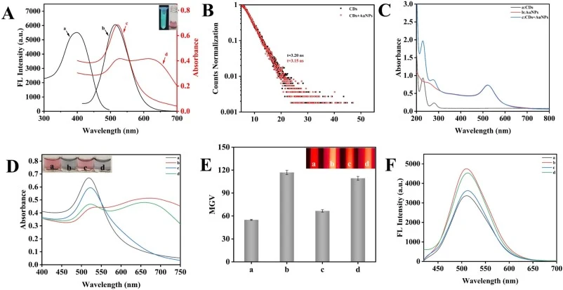 (A) The fluorescence excitation spectrum (curve a) and emission spectrum (curve b) of GCDs, AuNPs (curve c) and the ultraviolet-visible absorption spectrum after the reaction with NaNO3 (curve d); inset shows the photos of GCDs under 365 nm ultraviolet lamp and AuNPs solution under daily light; (B)