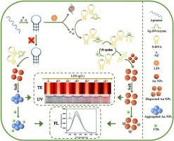 A multimodal biosensor based on DNAzyme signal amplification