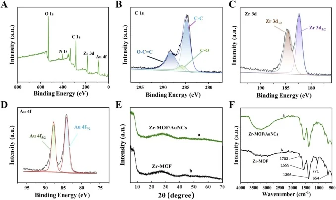 Characterization of Zr-MOF/AuNCs. (A) Survey, (B) C 1 s, (C) Zr 3d, and (D) Au 4 f XPS spectra. (E) XRD patterns and (F) FTIR spectra of (a) Zr-MOF/AuNCs and (b) Zr-MOF.