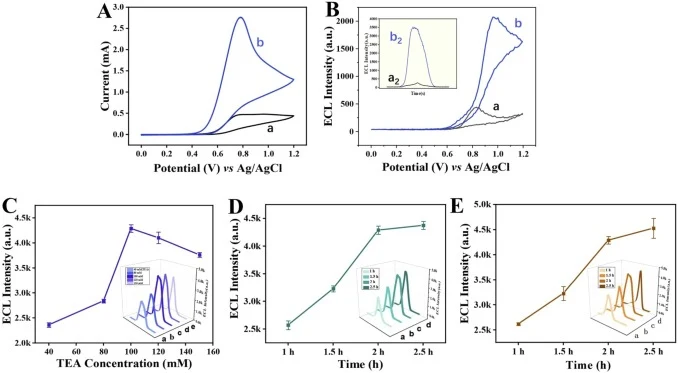 Optimization of experimental conditions. (A) CV and (B) ECL curves (inset: ECL intensity vs time) for (a) bare GCE and (b) GCE modified with Zr-MOF/AuNCs in an electrolyte containing 0.1 M TEA in 10 mM PBS buffer with 0.1 M KCl. Systematic optimization of (C) TEA concentration, and incubation time f