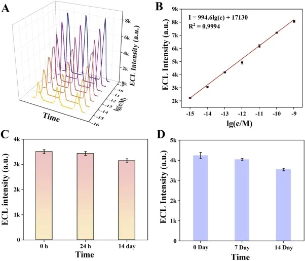 Performance evaluation of the ECL biosensor for aDNA detection and stability. (A) Real-time ECL responses to aDNA concentrations (c) from 1 fM to 1 nM. (B) Calibration plot of ECL intensity versus lg(c/M). Error bars: SD (n = 3). (C) Stability ECL probe (Zr-MOF/AuNCs-DNA) stored at 4°C over 14 days: