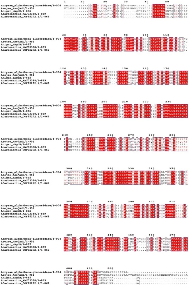 Multiple Sequence Alignment of the GH 31 proteins * Conserved residues in all four proteins are marked red, the blue box indicates the conserved. residues in three of them. (For interpretation of the references to colour in this figure legend, the reader is referred to the web version of this articl