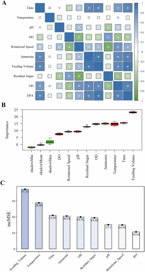 Correlation analysis and feature importance ranking. (A) Pearson correlation coefficient matrix plot (*P < 0.05). Green indicates negative correlation, while blue indicates positive correlation. (B) Feature selection using the Boruta algorithm, with red bars indicating important features. (C) Featur