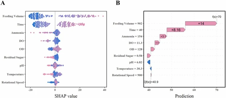 SHAP-based interpretability analysis of the *Sim-SVM-RBF model. (A) Beeswarm plot showing the distribution of SHAP values for each feature variable across all samples; a wider distribution interval indicates a higher mean absolute SHAP value. (B) Waterfall plot quantifying the contribution of each f