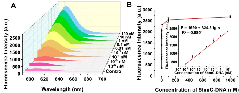 (A) Fluorescence emission spectra recorded for samples containing varying concentrations of 5hmC-DNA, spanning from 10−6 nM to 100 nM. (B) A linear relationship is evident between fluorescence intensity and the logarithm of 5hmC-DNA concentration over the range of 10−5 nM to 10 nM. Error bars repres