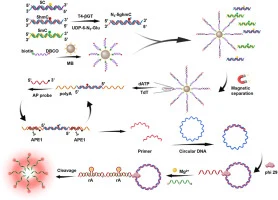 A bisulfite-free sequence-independent biosensor for genomic
