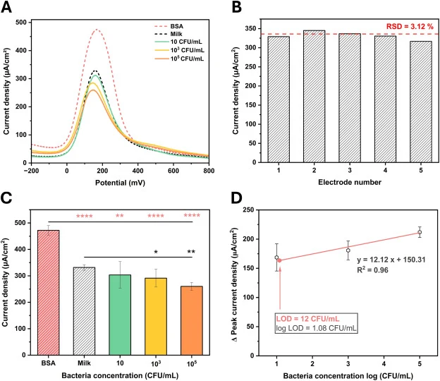 Detection of E. coli BL21 in undiluted 0% fat milk using the oriented phage-based biosensor. DPV measurements were performed in 0.1 M NaNO3 containing 1 mM K3Fe(CN)6/K4Fe(CN)6 (1:1) as the redox probe. A) Representative DPV curves of BSA (control in PBS), unspiked milk, and milk spiked with E. coli