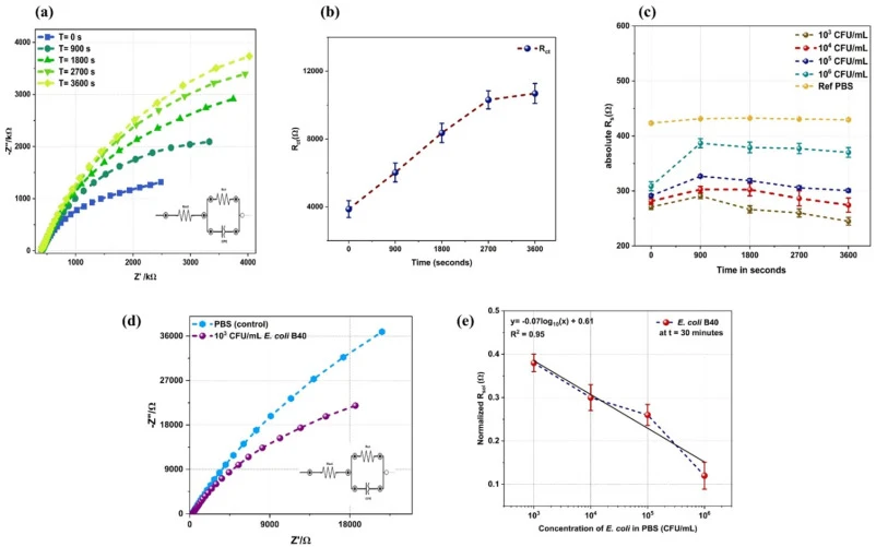 Electrochemical characterization and E. coli detection in PBS (a) Nyquist plot with equivalent circuit shown in the inset, indicating increase in Rct indicating phage binding on PAni-CS substrate (b) Time dependent increase in Rct during phage binding, attains saturation in 50 min (c) initial increa