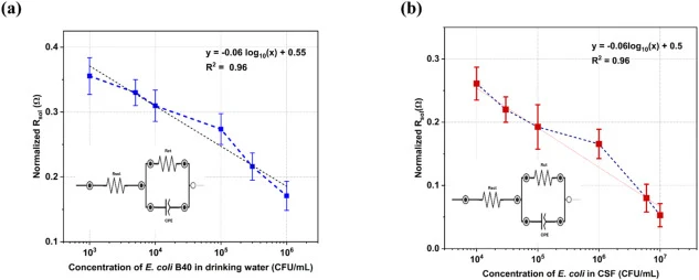 Real sample testing (a) Detection of E. coli B40 in drinking water samples (b) Detection of E. coli B40 in simulated CSF samples. The sensor showed a LoD of 103 CFU/mL and104 CFU/mL for drinking water and simulated CSF samples respectively. Each point in the calibration represents n = 3.