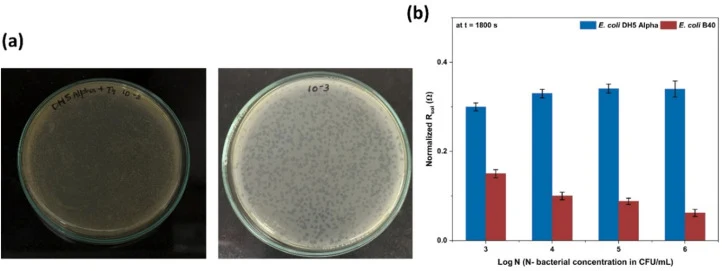 (a) Standard plaque assay using T4 phage with non-host bacteria E. coli DH5 Alpha and host bacteria E. coli B40. No plaque formation was observed with E. coli DH5 Alpha (b) Decrease in solution resistance exhibited by E. coli B40 with increasing bacterial concentration, versus no response shown by t