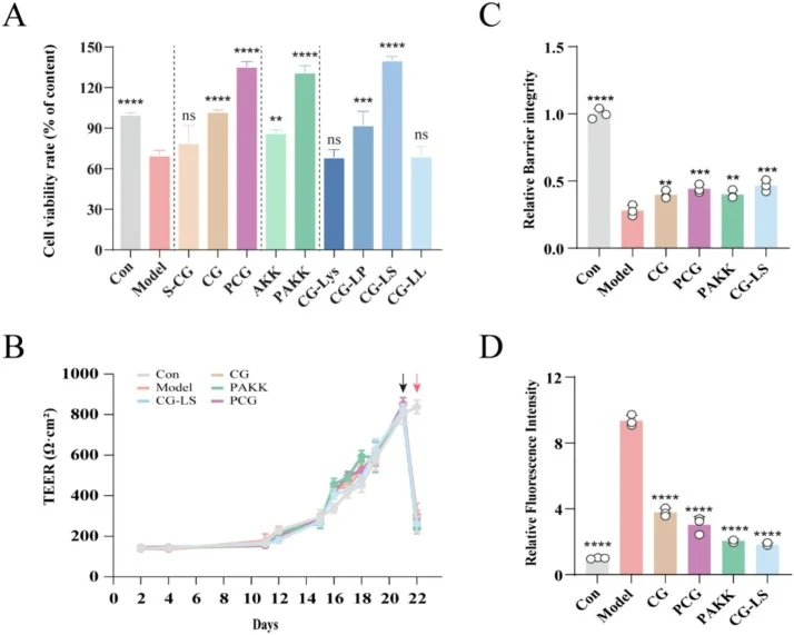 Effects of CG-LS on the barrier dysfunction mimicked by inflammatory Caco-2 cells. (A) Cell viability of inflammatory Caco-2 cells of different treatment groups. (B) Profiles of transepithelial electrical resistance (TEER) values varied with time. (C) Quantitative comparison of TEER values of differ