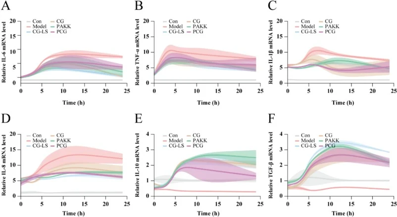 Profiles of mRNA levels of inflammatory cytokines in Caco-2 cells. (A-F) The time-dependent effects (0, 3, 6, 12, 24 h) of different treatment groups on IL-6, TNF-α, IL-1β, IL-8, IL-10 and TGF-β were separately displayed. Data were presented as mean ± SD (n = 3), normalized to GAPDH as the internal