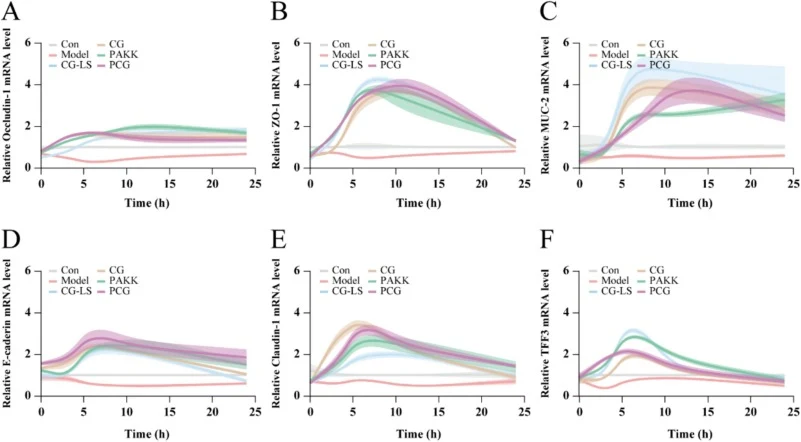 Expression profiles of mucin and tight junction proteins in Caco-2 cells. The time-dependent effects (0, 3, 6, 12, 24 h) of different treatment groups on (A-B, E) tight junction proteins ZO-1, Occludin-1, and Claudin-1; (C–D, F) presented mRNA levels of mucin proteins such as MUC-2, E - c adherin, a