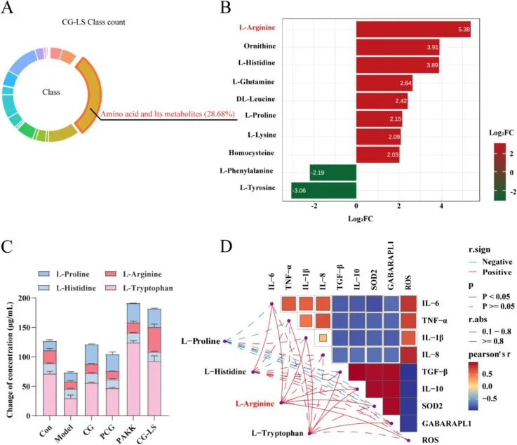 Correlation analysis between major components (amino acids) of CG-LS and key indicators of barrier repair. (A) Untargeted metabolomics-based schematic of amino acid metabolism pathways. Each color denoted a metabolite class, and the color block size represent its proportional abundance. (B) Differen