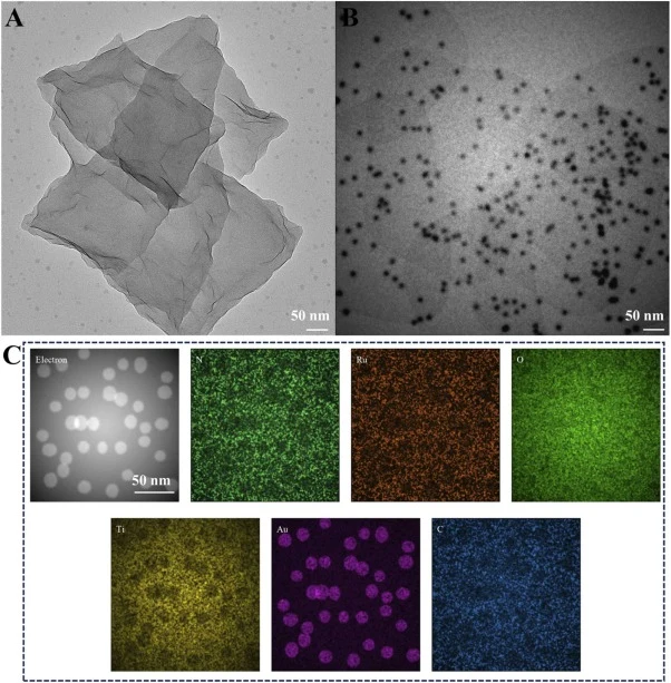 TEM characterization and elemental mapping of Ti₃C₂Tx-based nanocomposites. (A) TEM image of exfoliated Ti₃C₂Tx nanosheets, showing ultrathin layered morphology with transparent and overlapping structures. (B) TEM image of PEI-Ti₃C₂Tx/Ru/AuNPs nanocomposite, where numerous dark spots correspond to u