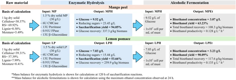 Bass balance for yield calculations corresponding to residual raw material MP and LP, to Enzymatic Hydrolysis MPH and LPH and Alcoholic Fermentation MPEt and LPEt.