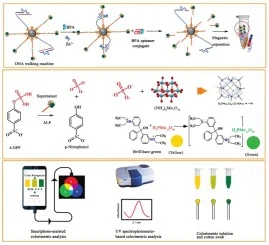 A multimodal colorimetric biosensor for bisphenol A based on