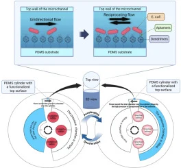 Reciprocation-enhanced centrifugal microfluidic biosensor fo
