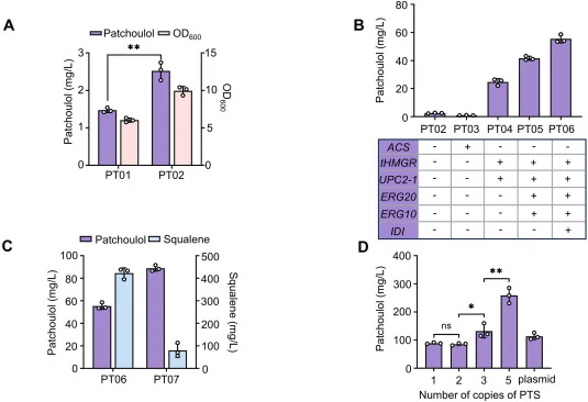 Using a “push-pull-restrain” strategy to improve patchoulol titer. (A) Regulation of the glycolytic pathway for patchoulol production. (B) Overexpression of key MVA-pathway genes for patchoulol production. (C) Effects on patchoulol titer by inhibiting competing pathways. (D) Effects on patchoulol ti