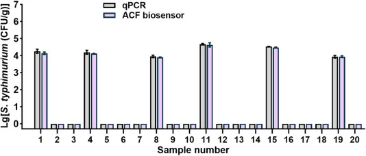 Comparison of the ACF biosensor and qPCR assay for the detection of S. typhimurium in chicken and pork samples (chicken: 1–10, pork: 11–20). The error bars represent the standard deviations from three replicates.